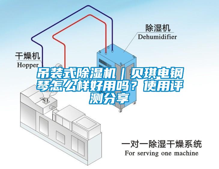 吊裝式除濕機(jī)｜貝琪電鋼琴怎么樣好用嗎？使用評(píng)測(cè)分享