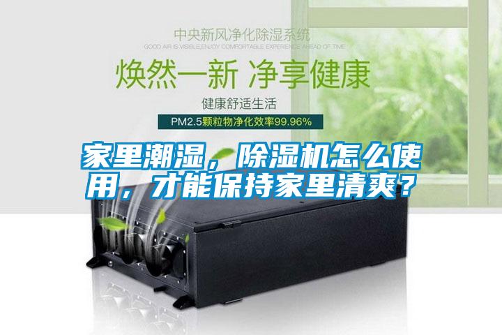 家里潮濕，除濕機怎么使用，才能保持家里清爽？