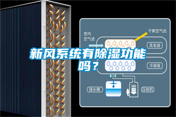 新風(fēng)系統(tǒng)有除濕功能嗎？