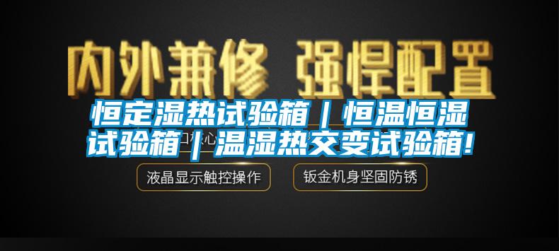 恒定濕熱試驗(yàn)箱｜恒溫恒濕試驗(yàn)箱｜溫濕熱交變?cè)囼?yàn)箱!