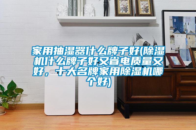 家用抽濕器什么牌子好(除濕機(jī)什么牌子好又省電質(zhì)量又好，十大名牌家用除濕機(jī)哪個(gè)好)