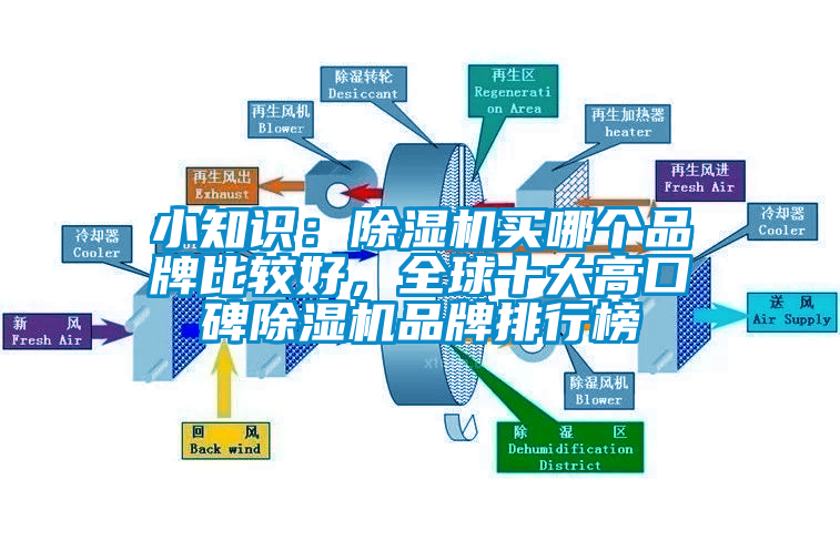 小知識：除濕機買哪個品牌比較好，全球十大高口碑除濕機品牌排行榜