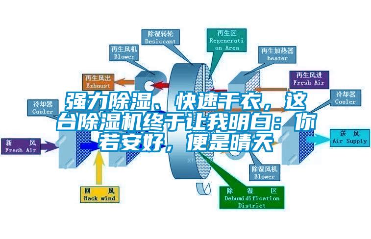 強(qiáng)力除濕、快速干衣，這臺(tái)除濕機(jī)終于讓我明白：你若安好，便是晴天