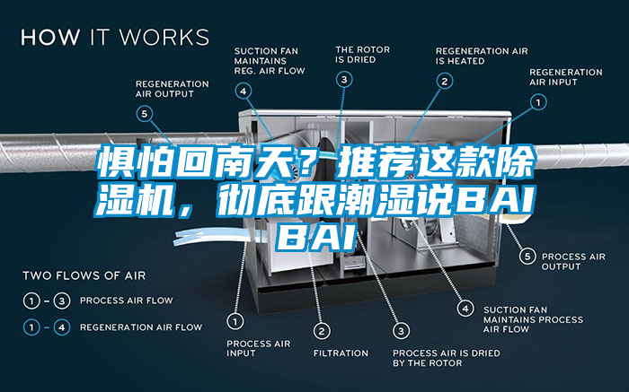 懼怕回南天？推薦這款除濕機，徹底跟潮濕說BAIBAI