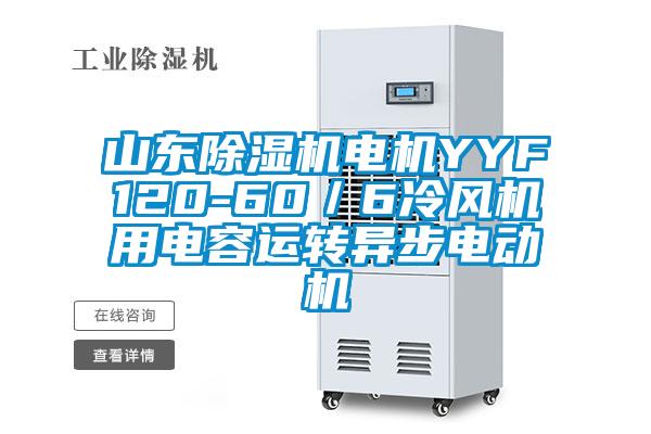 山東除濕機(jī)電機(jī)YYF120-60／6冷風(fēng)機(jī)用電容運(yùn)轉(zhuǎn)異步電動機(jī)