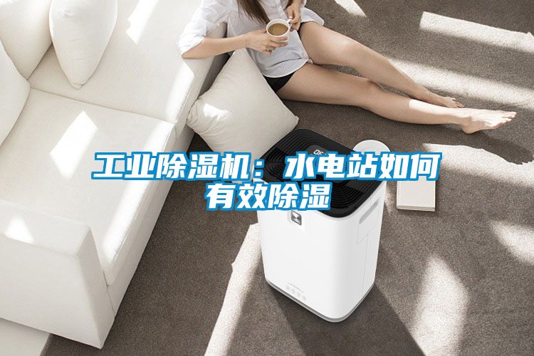 工業(yè)除濕機(jī)：水電站如何有效除濕