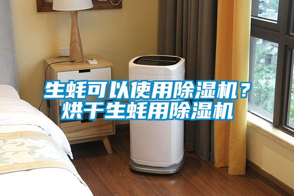 生蠔可以使用除濕機？烘干生蠔用除濕機