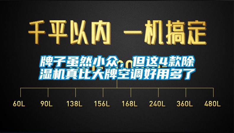 牌子雖然小眾，但這4款除濕機(jī)真比大牌空調(diào)好用多了