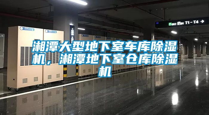 湘潭大型地下室車庫除濕機(jī)，湘潭地下室倉庫除濕機(jī)