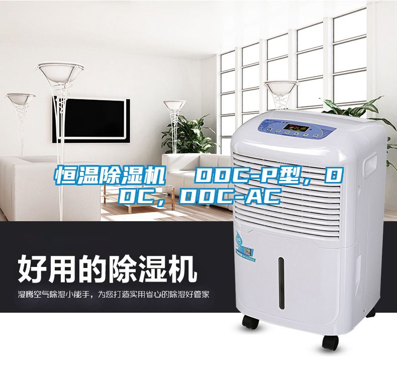 恒溫除濕機(jī)  DDC-P型，DDC，DDC-AC