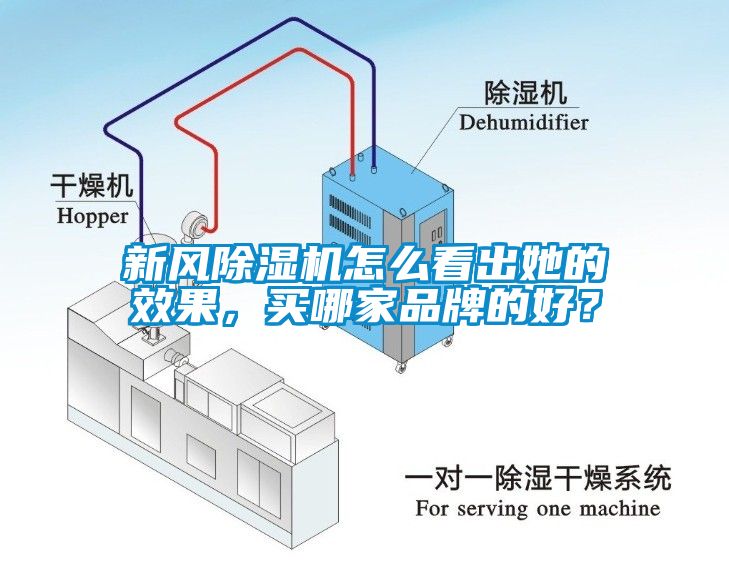 新風(fēng)除濕機(jī)怎么看出她的效果，買(mǎi)哪家品牌的好？