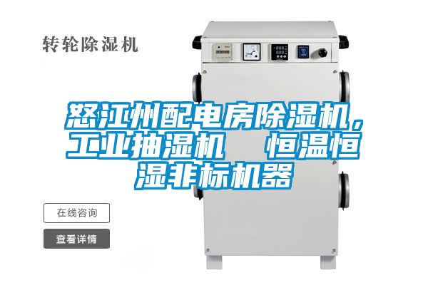 怒江州配電房除濕機，工業(yè)抽濕機  恒溫恒濕非標(biāo)機器