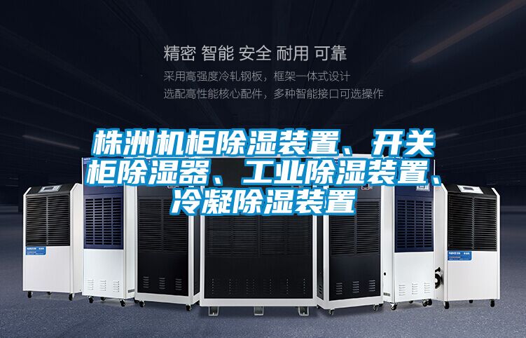 株洲機柜除濕裝置、開關柜除濕器、工業(yè)除濕裝置、冷凝除濕裝置