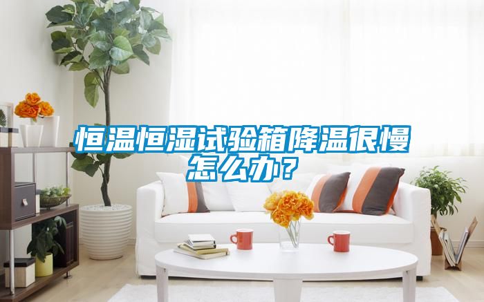 恒溫恒濕試驗(yàn)箱降溫很慢怎么辦？