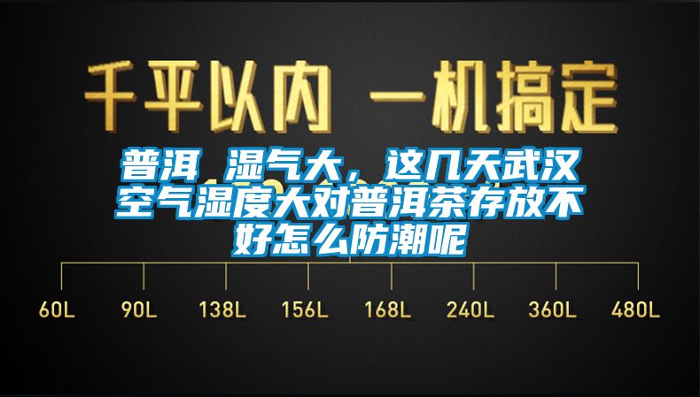 普洱 濕氣大，這幾天武漢空氣濕度大對普洱茶存放不好怎么防潮呢