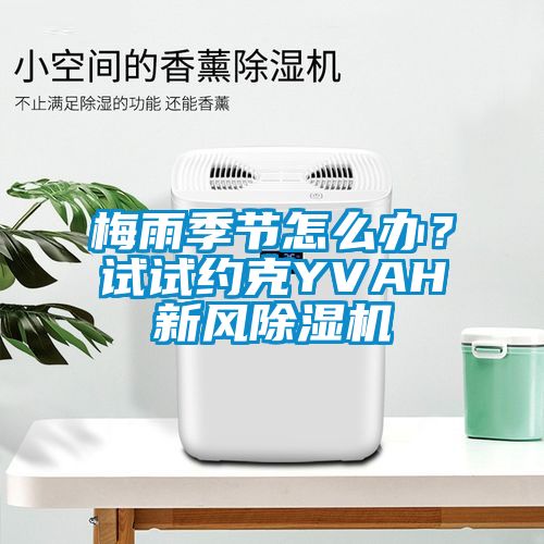 梅雨季節(jié)怎么辦？試試約克YVAH新風(fēng)除濕機