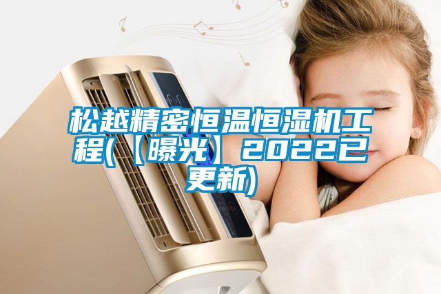 松越精密恒溫恒濕機工程(【曝光】2022已更新)