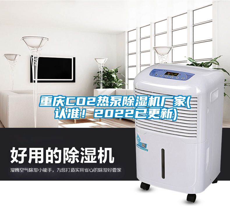 重慶CO2熱泵除濕機(jī)廠家(認(rèn)準(zhǔn)！2022已更新)