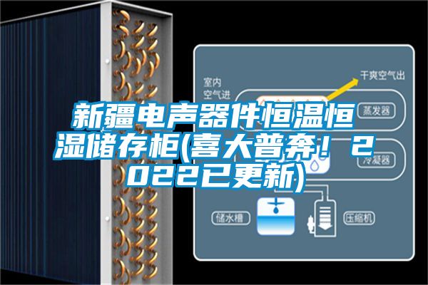 新疆電聲器件恒溫恒濕儲存柜(喜大普奔！2022已更新)