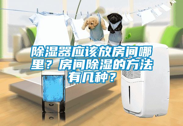 除濕器應(yīng)該放房間哪里？房間除濕的方法有幾種？