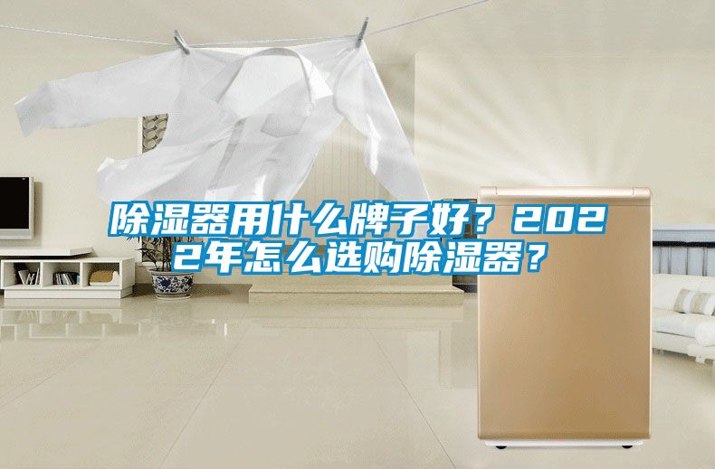 除濕器用什么牌子好？2022年怎么選購除濕器？