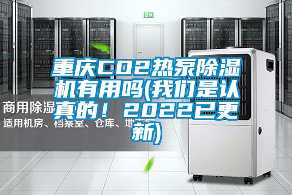 重慶CO2熱泵除濕機有用嗎(我們是認真的！2022已更新)