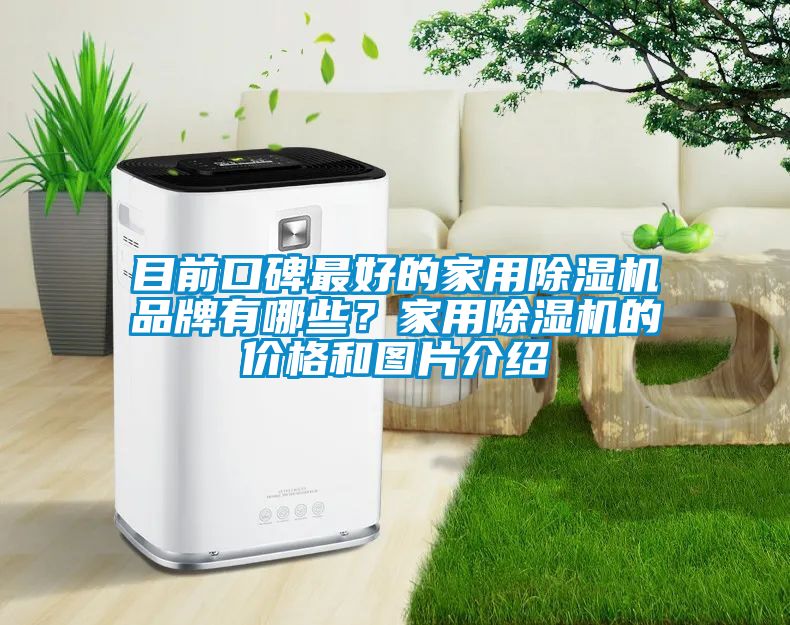 目前口碑最好的家用除濕機品牌有哪些？家用除濕機的價格和圖片介紹