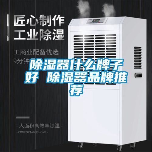 除濕器什么牌子好 除濕器品牌推薦