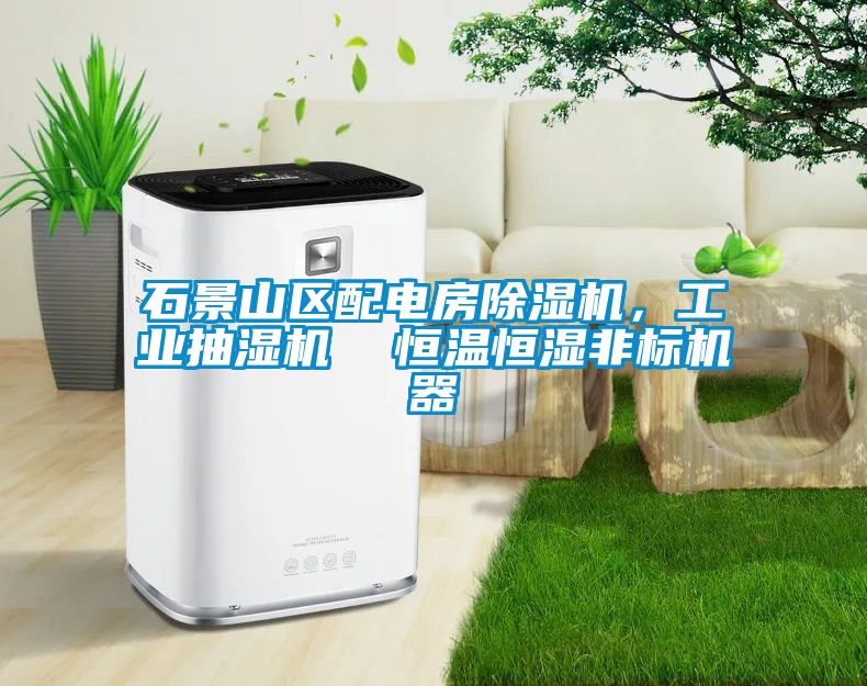 石景山區(qū)配電房除濕機，工業(yè)抽濕機  恒溫恒濕非標機器