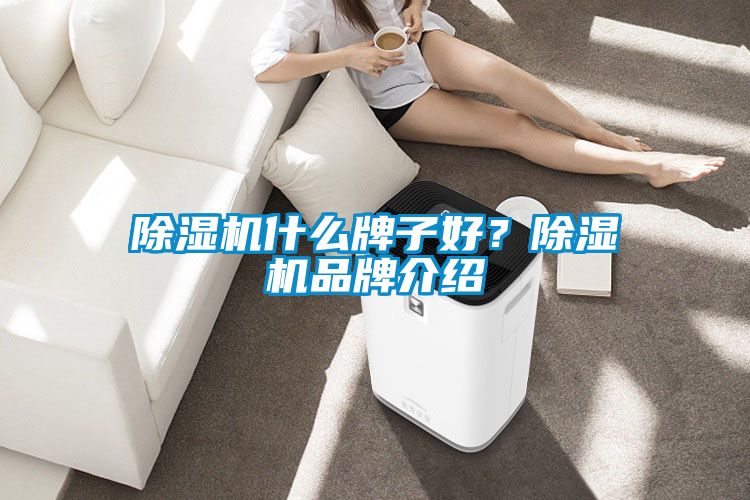 除濕機(jī)什么牌子好？除濕機(jī)品牌介紹