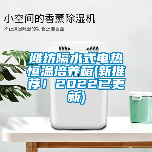 濰坊隔水式電熱恒溫培養(yǎng)箱(新推薦！2022已更新)