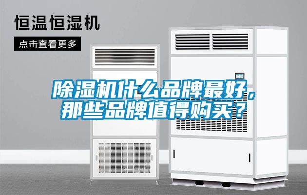 除濕機(jī)什么品牌最好，那些品牌值得購(gòu)買？