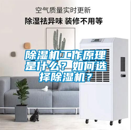 除濕機工作原理是什么？如何選擇除濕機？