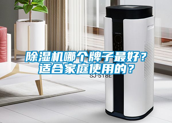 除濕機哪個牌子最好？適合家庭使用的？