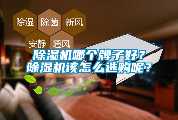 除濕機哪個牌子好？除濕機該怎么選購呢？