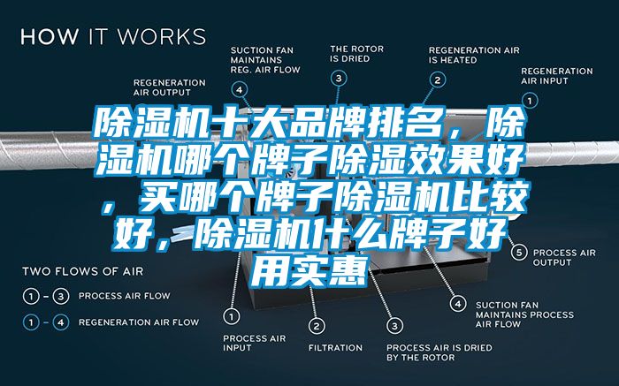 除濕機(jī)十大品牌排名，除濕機(jī)哪個(gè)牌子除濕效果好，買哪個(gè)牌子除濕機(jī)比較好，除濕機(jī)什么牌子好用實(shí)惠