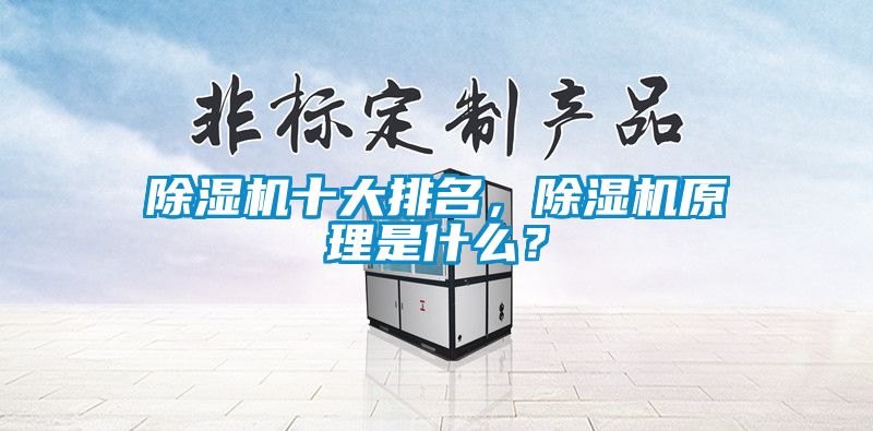 除濕機(jī)十大排名，除濕機(jī)原理是什么？