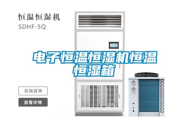 電子恒溫恒濕機恒溫恒濕箱