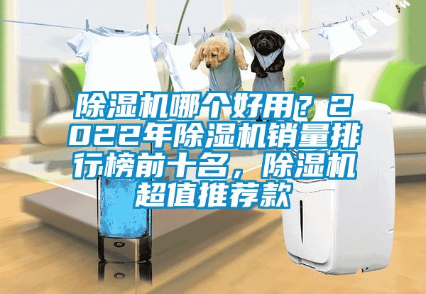 除濕機(jī)哪個(gè)好用？2022年除濕機(jī)銷量排行榜前十名，除濕機(jī)超值推薦款