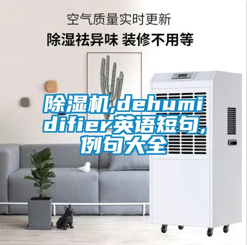 除濕機,dehumidifier英語短句,例句大全