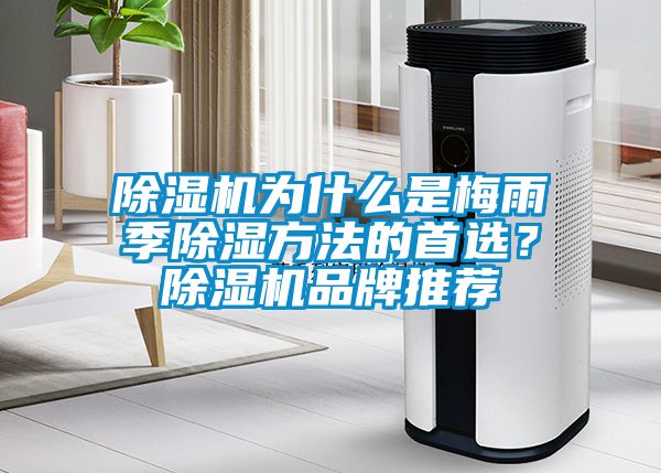 除濕機(jī)為什么是梅雨季除濕方法的首選？除濕機(jī)品牌推薦