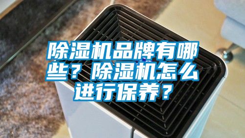 除濕機品牌有哪些？除濕機怎么進(jìn)行保養(yǎng)？