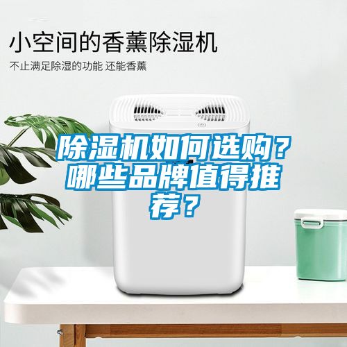 除濕機(jī)如何選購？哪些品牌值得推薦？