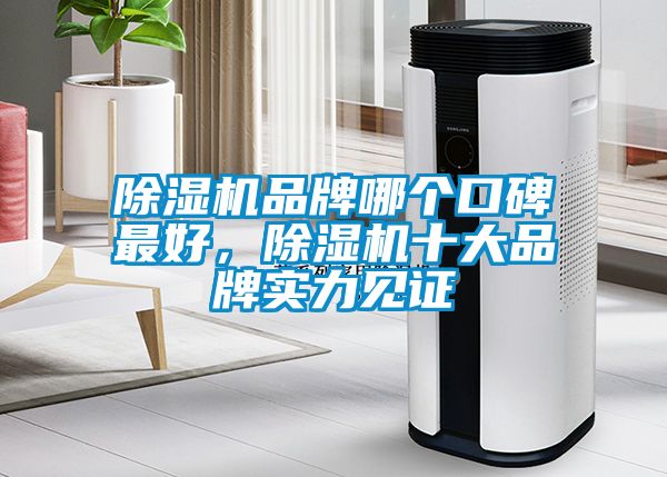 除濕機(jī)品牌哪個口碑最好，除濕機(jī)十大品牌實力見證