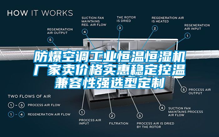 防爆空調(diào)工業(yè)恒溫恒濕機(jī)廠家賣價格實(shí)惠穩(wěn)定控溫兼容性強(qiáng)選型定制