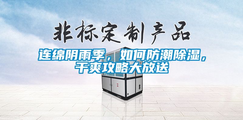 連綿陰雨季，如何防潮除濕，干爽攻略大放送