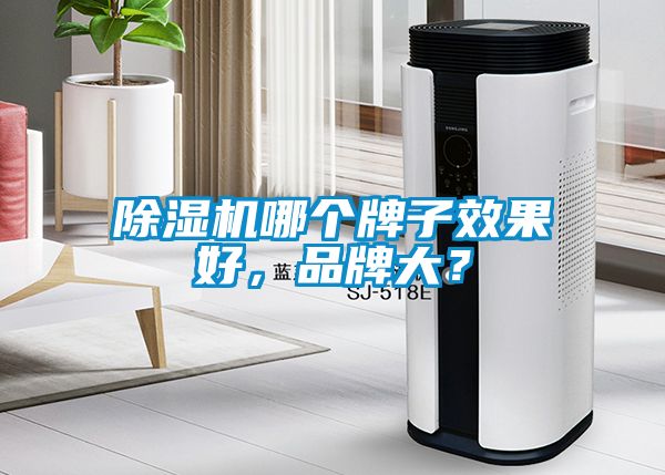 除濕機哪個牌子效果好，品牌大？