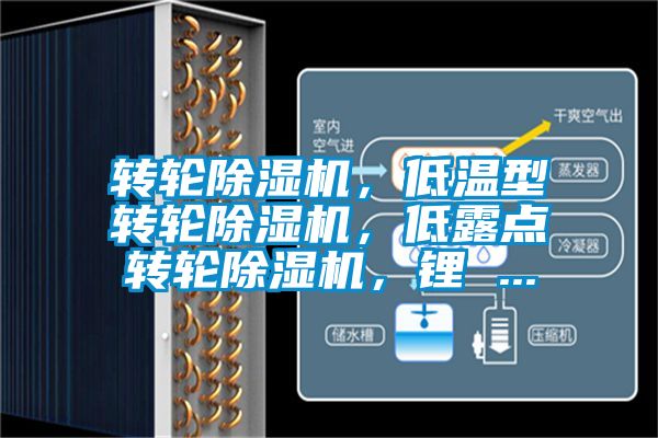 轉(zhuǎn)輪除濕機，低溫型轉(zhuǎn)輪除濕機，低露點轉(zhuǎn)輪除濕機，鋰 ...