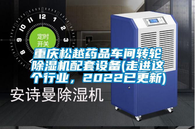 重慶松越藥品車間轉輪除濕機配套設備(走進這個行業(yè)，2022已更新)