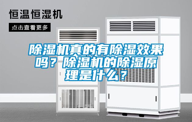 除濕機真的有除濕效果嗎？除濕機的除濕原理是什么？